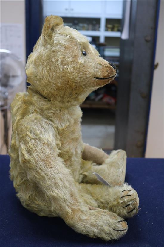 A Steiff centre seam bear, c.1908, replaced paw pads, hair loss to body, arms and legs, 20in.